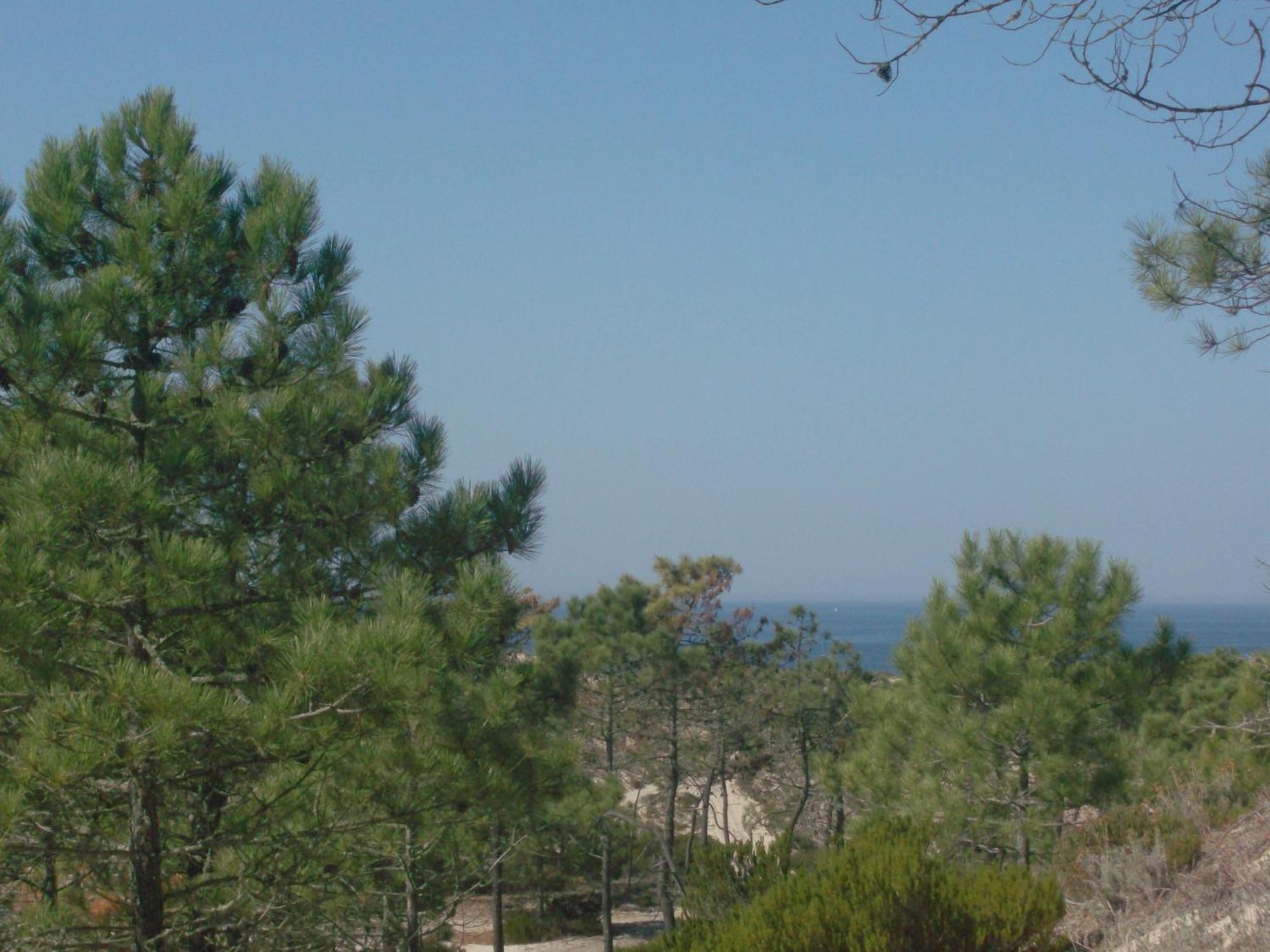Alojamento Local Verde E Mar Comporta Exterior photo